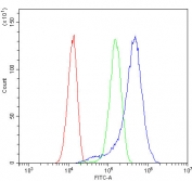 Flow cytometry testing of fixed and permeabilized human HeLa cells with RFC1 antibody at 1ug/million cells (blocked with goat sera); Red=cells alone, Green=isotype control, Blue= RFC1 antibody.