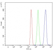 Flow cytometry testing of fixed and permeabilized human HL60 cells with SIP antibody at 1ug/million cells (blocked with goat sera); Red=cells alone, Green=isotype control, Blue= SIP antibody.