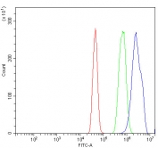 Flow cytometry testing of human A431 cells with Aryl hydrocarbon Receptor antibody at 1ug/million cells (blocked with goat sera); Red=cells alone, Green=isotype control, Blue= Aryl hydrocarbon Receptor antibody.