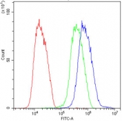 Flow cytometry testing of human HepG2 cells with HSP10 antibody at 1ug/million cells (blocked with goat sera); Red=cells alone, Green=isotype control, Blue= HSP10 antibody.