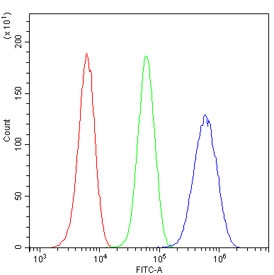 Flow cytometry testing of human U-2 OS cells with 14-3-3 sigma antibody at 1ug/million cells (blocked with goat sera); Red=cells alone, Green=isotype control, Blue= 14-3-3 sigma antibody.