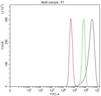 Flow cytometry testing of fixed and permeabilized human U-251 cells with CrkL antibody at 1ug/million cells (blocked with goat sera); Red=cells alone, Green=isotype control, Blue= CrkL antibody.~