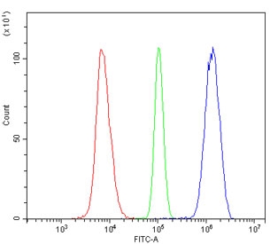 Flow cytometry testing of human Raji cells with Daxx antibody at 1ug/million cells (blocked with goat sera); Red=cells alone, Green=isotype control, Blue= Daxx antibody.