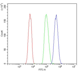 Flow cytometry testing of human HL-60 cells with NME2 antibody at 1ug/million cells (blocked with goat sera); Red=cells alone, Green=isotype control, Blue= NME2 antibody.