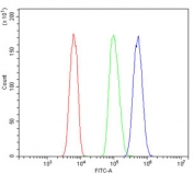 Flow cytometry testing of human HL-60 cells with NME2 antibody at 1ug/million cells (blocked with goat sera); Red=cells alone, Green=isotype control, Blue= NME2 antibody.