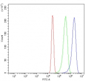 Flow cytometry testing of fixed and permeabilized human K562 cells with Peroxiredoxin 3 antibody at 1ug/million cells (blocked with goat sera); Red=cells alone, Green=isotype control, Blue= Peroxiredoxin 3 antibody.