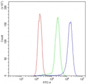 Flow cytometry testing of human Jurkat cells with STAT5a antibody at 1ug/10^6 cells (blocked with goat sera); Red=cells alone, Green=isotype control, Blue= STAT5a antibody.