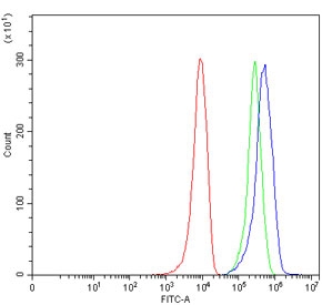 Flow cytometry testing of human 293T cells with Splicing factor 1 antibody at 1ug/million cells (blocked with goat sera); Red=cells alone, Green=isotype control, Blue= Splicing factor 1 antibody.