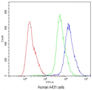 Flow cytometry testing of human A431 cells with ABCG5 antibody at 1ug/million cells (blocked wi