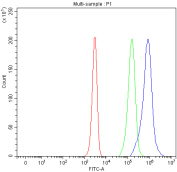 Flow cytometry analysis of fixed and permeabilized human Jurkat cells with MALT1 antibody at 1ug/million cells (blocked with goat sera); Red=cells alone, Green=isotype control, Blue= Jurkat antibody.