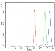 Flow cytometry testing of fixed and permeabilized human HEL cells with CD31 antibody at 1ug/million cells (blocked with goat sera); Red=cells alone, Green=isotype control, Blue= CD31 antibody.