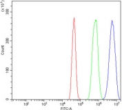 Flow cytometry testing of human A431 cells with p63 antibody at 1ug/million cells (blocked with goat sera); Red=cells alone, Green=isotype control, Blue= p63 antibody.