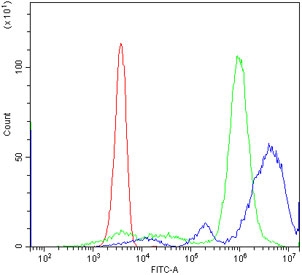 Flow cytometry testing of human PBM cells with CXCR1 antibody at 1ug/million cells (blocked with goat sera); Red=cells alone, Green=isotype control, Blue= CXCR1 antibody.~
