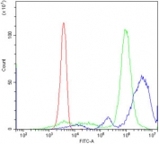 Flow cytometry testing of human PBM cells with CXCR1 antibody at 1ug/million cells (blocked with goat sera); Red=cells alone, Green=isotype control, Blue= CXCR1 antibody.