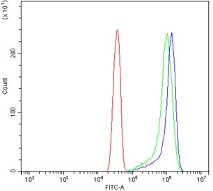 Flow cytometry testing of human HeLa cells with VCP antibody at 1ug/million cells (blocked with goat sera); Red=cells alone, Green=isotype control, Blue= VCP antibody.