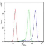 Flow cytometry testing of human A431 cells with Profilin 2 antibody at 1ug/million cells (blocked with goat sera); Red=cells alone, Green=isotype control, Blue= Profilin 2 antibody.