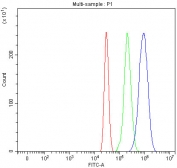 Flow cytometry testing of fixed and permeabilized human HepG2 cells with IGF2R antibody at 1ug/million cells (blocked with goat sera); Red=cells alone, Green=isotype control, Blue= IGF2R antibody.