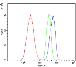 Flow cytometry testing of human HepG2 cells with MERTK antibody at 1ug/million cells (blocked with goat sera); Red=cells alone, Green=isotype control, Blue= MERTK antibody.~