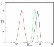 Flow cytometry testing of human HepG2 cells with MERTK antibody at 1ug/million cells (blocked with goat sera); Red=cells alone, Green=isotype control, Blue= MERTK antibody.