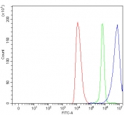 Flow cytometry testing of human HEL cells with COX1 antibody at 1ug/million cells (blocked with goat sera); Red=cells alone, Green=isotype control, Blue= COX1 antibody.