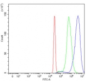 Flow cytometry testing of human HepG2 cells with BRCA1 antibody at 1ug/million cells (blocked with goat sera); Red=cells alone, Green=isotype control, Blue= BRCA1 antibody.