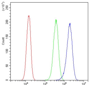 Flow cytometry testing of human PC-3 cells with Annexin V antibody at 1ug/million cells (blocked with goat sera); Red=cells alone, Green=isotype control, Blue= Annexin V antibody.