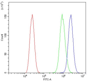 Flow cytometry testing of human A431 cells with CD20 antibody at 1ug/10^6 cells (cells blocked with goat sera); Red=cells alone, Green=isotype control, Blue=CD20 antibody.