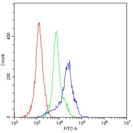 Flow cytometry testing of human PBMs with CD23 antibody at 1ug/million cells (blocked with goat sera); Red=cells alone, Green=isotype control, Blue= CD23 antibody.