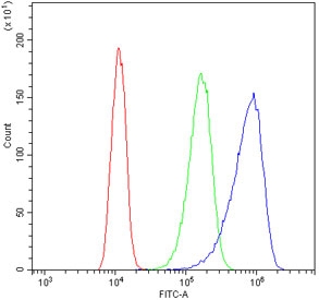 Flow cytometry testing of human A431 cells with VWF antibody at 1ug/million cells (blocked with goat sera); Red=cells alone, Green=isotype control, Blue= VWF antibody.