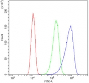 Flow cytometry testing of human A431 cells with VWF antibody at 1ug/million cells (blocked with goat sera); Red=cells alone, Green=isotype control, Blue= VWF antibody.