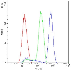 Flow cytometry testing of human SiHa cells with p27KIP1 antibody at 1ug/million cells (blocked with goat sera); Red=cells alone, Green=isotype control, Blue= p27KIP1 antibody.