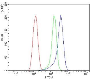 Flow cytometry testing of human A549 cells with CBL antibody at 1ug/million cells (blocked with goat sera); Red=cells alone, Green=isotype control, Blue= CBL antibody.