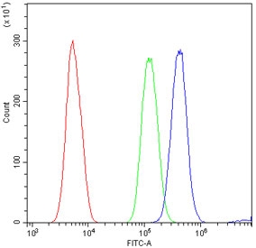 Flow cytometry testing of human HL60 cells with CD43 antibody at 1ug/million cells (blocked with goat sera); Red=cells alone, Green=isotype control, Blue= CD43 antibody.