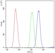 Flow cytometry testing of human HL60 cells with CD43 antibody at 1ug/10^6 cells (blocked with goat sera); Red=cells alone, Green=isotype control, Blue= CD43 antibody.