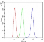 Flow cytometry testing of human ThP-1 cells with CD45 antibody at 1ug/million cells (blocked with goat sera); Red=cells alone, Green=isotype control, Blue= CD45 antibody.