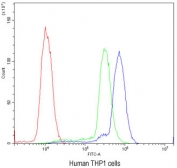 Flow cytometry testing of human THP1 cells with Cyclin D3 antibody at 1ug/10^6 cells (blocked with goat sera); Red=cells alone, Green=isotype control, Blue=Cyclin D3 antibody.