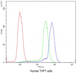 Flow cytometry testing of human THP1 cells with Cyclin D3 antibody at 1ug/million cells (blocked with goat sera); Red=cells alone, Green=isotype control, Blue=Cyclin D3 antibody.