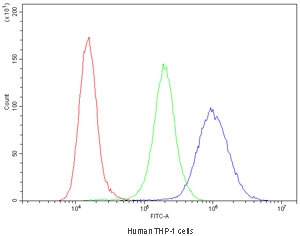Flow cytometry testing of human THP-1 cells with Cyclin B1 antibody at 1ug/million cells (blocked with goat sera); Red=cells alone, Green=isotype control, Blue=Cyclin B1 antibody.