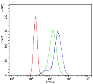Flow cytometry testing of human K562 cells with AAMP antibody at 1ug/million cells (blocked with goat sera); Red=cells alone, Green=isotype control, Blue= AAMP antibody.