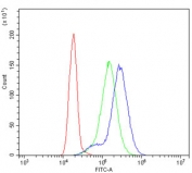 Flow cytometry testing of human K562 cells with AAMP antibody at 1ug/million cells (blocked with goat sera); Red=cells alone, Green=isotype control, Blue= AAMP antibody.