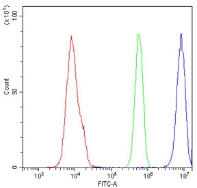 Flow cytometry testing of human U937 cells with APE1 antibody at 1ug/million cells (blocked with goat sera); Red=cells alone, Green=isotype control, Blue= APE1 antibody.