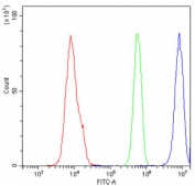 Flow cytometry testing of human U937 cells with APE1 antibody at 1ug/10^6 cells (blocked with goat sera); Red=cells alone, Green=isotype control, Blue= APE1 antibody.