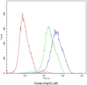 Flow cytometry testing of human HepG2 cells with ATF2 antibody at 1ug/10^6 cells (blocked with goat sera); Red=cells alone, Green=isotype control, Blue=ATF2 antibody.