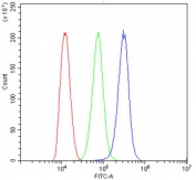 Flow cytometry testing of human ThP-1 cells with MAC-1 antibody at 1ug/10^6 cells (blocked with goat sera); Red=cells alone, Green=isotype control, Blue= MAC-1 antibody.