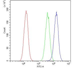 Flow cytometry testing of human A549 cells with MyD88 antibody at 1ug/million cells (blocked with goat sera); Red=cells alone, Green=isotype control, Blue= MyD88 antibody.