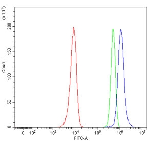Flow cytometry testing of human HeLa cells with p50 antibody at 1ug/million cells (blocked with goat sera); Red=cells alone, Green=isotype control, Blue= p50 antibody.