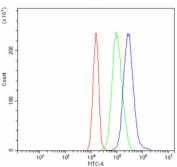 Flow cytometry testing of human JK cells with PD-L1 antibody at 1ug/million cells (blocked with goat sera); Red=cells alone, Green=isotype control, Blue= PD-L1 antibody.