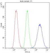 Flow cytometry testing of fixed and permeabilized human U-87 MG cells with Caveolin-1 antibody at 1ug/10^6 cells (blocked with goat sera); Red=cells alone, Green=isotype control, Blue= Caveolin-1 antibody.