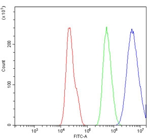 Flow cytometry testing of human A549 cells with Caveolin-2 antibody at 1ug/million cells (blocked with goat sera); Red=cells alone, Green=isotype control, Blue= Caveolin-2 antibody.