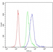 Flow cytometry testing of human PBM cells with CD79a antibody at 1ug/million cells (blocked with goat sera); Red=cells alone, Green=isotype control, Blue= CD79a antibody.